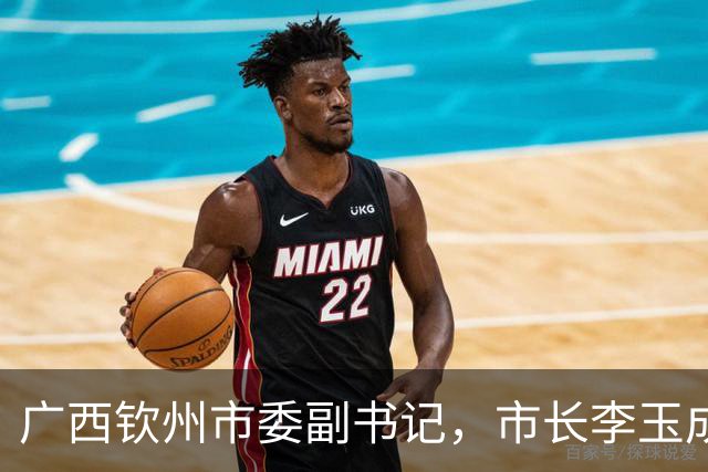 广西钦州市委副书记，市长李玉成简历