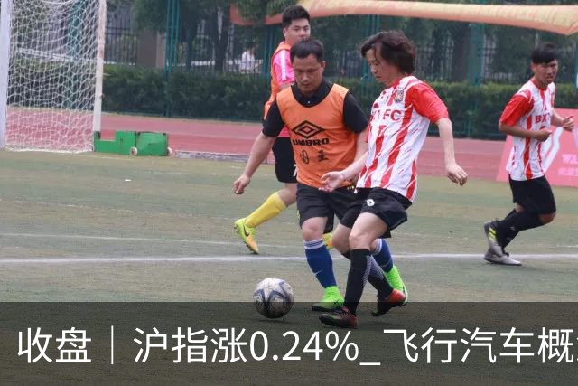收盘｜沪指涨0.24% 飞行汽车概念股大涨