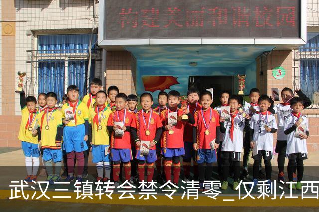 武汉三镇转会禁令清零 仅剩江西庐山还存在转会注册禁令