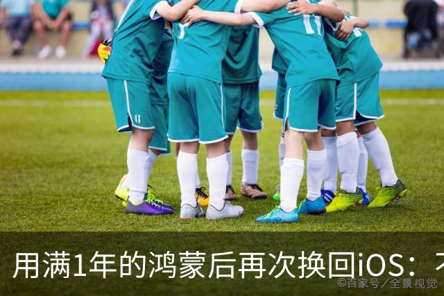 用满1年的鸿蒙后再次换回iOS：不吹不黑，憋了满肚子的心里话想说