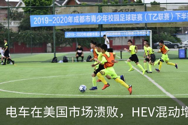 电车在美国市场溃败，HEV混动增长凶猛，丰田电车竟然卖得不错