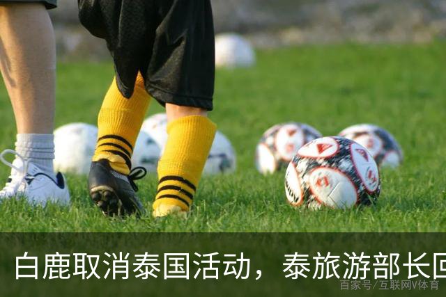 白鹿取消泰国活动，泰旅游部长回应惹争议