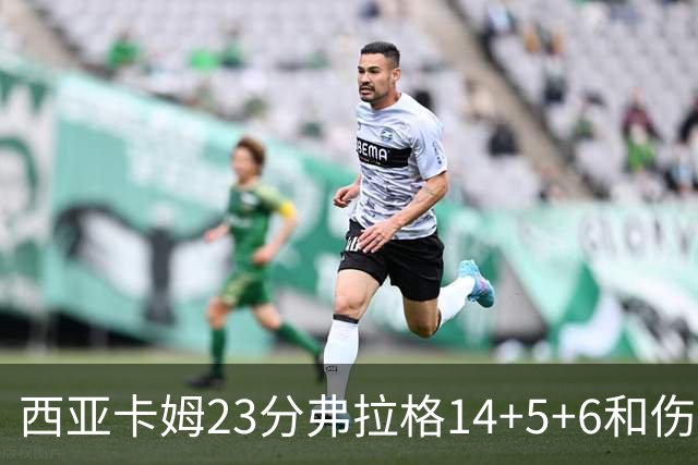 西亚卡姆23分弗拉格14+5+6&伤退 独行侠轻取步行者