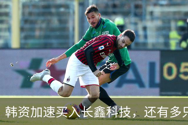 韩资加速买入长鑫科技，还有多只半导体龙头也获加仓