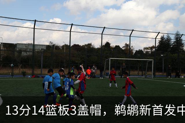 13分14篮板3盖帽，鹈鹕新首发中锋首秀交出两双